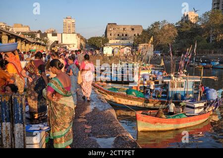 Alla luce della mattina presto, le barche da pesca sono viste ancorate a Sassoon Docks, un porto di pesca a Colaba, Mumbai, India, acquirenti di pesce in piedi sul molo Foto Stock