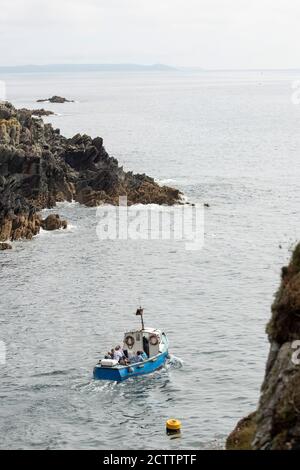 Escursione in barca con partenza dalla baia di Polperro in direzione della Manica, Regno Unito Foto Stock