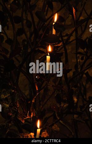 OXFORD, UK - 23 AGOSTO 2017: Albero della candela. Dettagli interni nel Cathedral of Christ Church College dell'Università di Oxford in Inghilterra. Foto Stock