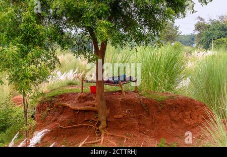 Una vecchia signora indiana non identificata che dorme sotto un albero di Banyan / Bat gach. Foto Stock