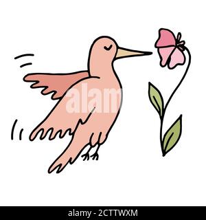Colorato doodle disegnato a mano piccolo hummingbird che vola intorno al fiore. Illustrazione vettoriale isolata in bianco Illustrazione Vettoriale