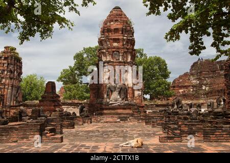 Wat Mahathat ad Ayutthaya, Thailandia. Foto Stock
