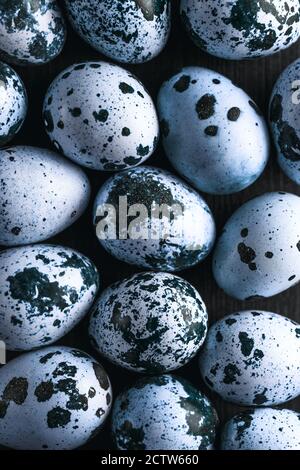 Uova di quaglia blu. Composizione piatta con piccole uova di quaglia sullo sfondo nero di legno. Macro uova di quaglia Foto Stock