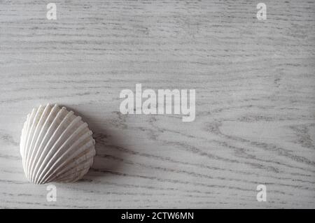 conchiglie di mare su superficie di legno in stile sbiancato con il sole, norfolk, inghilterra Foto Stock