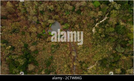 la tenuta del castello di blaise è un parco nel mezzo della città di bristol, luogo rilassante e tranquillo nella città trafficata Foto Stock