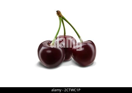 Tre ciliegie dolci di borgogna con steli isolati su sfondo bianco. Primo piano, vista laterale Foto Stock