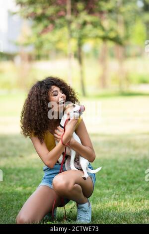 Fuoco selettivo della giovane donna con bocca aperta che guarda cane Foto Stock