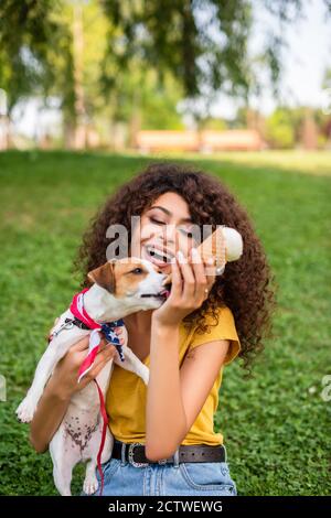 Fuoco selettivo della donna seduta sull'erba con il gelato e tenendo il cane Foto Stock