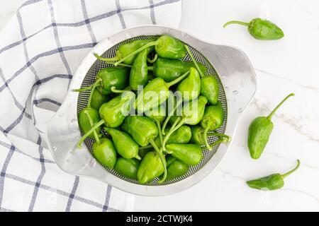 Vista dall'alto di peperoni freschi Padron in un filtro pronti per essere cotti Foto Stock