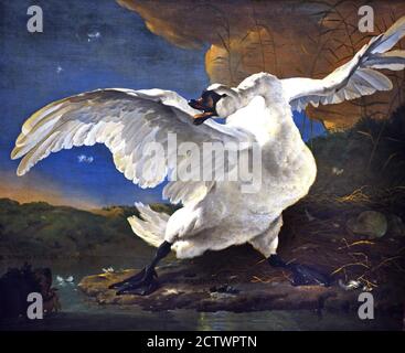 Il cigno minacciato 1650 da Jan Asselijn 1615-1652 olandese i Paesi Bassi ( Swan difende il suo nido contro un cane. Il cigno bianco è stato concepito come lo statista Johan de Witt, che è stato assassinato nel 1672 e che difende il paese contro i suoi nemici. Foto Stock