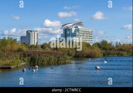 Cardiff Bay Wetlands con il St David's Hotel alle spalle, entrambi ai margini della baia di Cardiff. Foto Stock