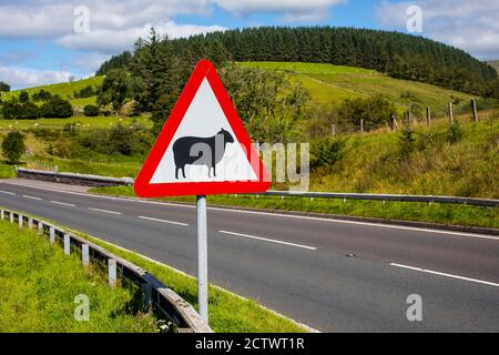 Un cartello stradale nel Brecon Beacons in Galles, Regno Unito, che avverte i conducenti di pecore che potrebbero camminare nella strada. Foto Stock