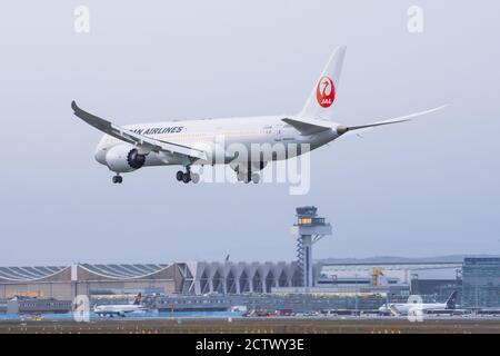 Boeing 787 compagnie aeree JAL Giappone. Germania, Francoforte sono l'aeroporto principale. 14 dicembre 2019 Foto Stock