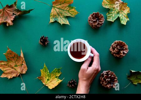 Composizione autunnale. Modello fatto di foglie essiccate ottobre, coni di pino e fondo tazza da tè. Modello autunno, autunno, Halloween, raccolta di ringraziamento Foto Stock