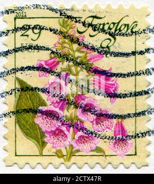 STATI UNITI- CIRCA 2011: Francobollo stampato dagli Stati Uniti, mostra Foxglove, circa 2011 Foto Stock