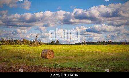 Una balla di fieno rotonda di colore dorato che giace su un campo stoppia raccolto su uno sfondo panoramico nuvoloso autunnale. Foto Stock