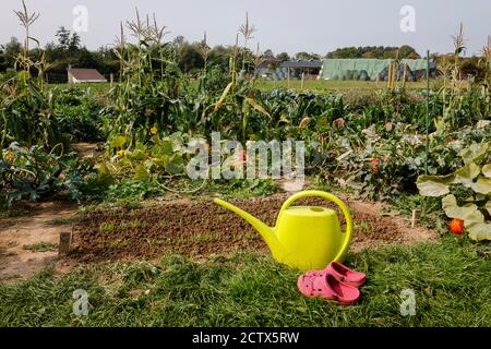 Kamp Lintfort, Nord Reno-Westfalia, Germania - agricoltura biologica NRW, scarpe da giardino e irrigazione può stare in piedi nel giardino di verdure, campo eroi organi Foto Stock