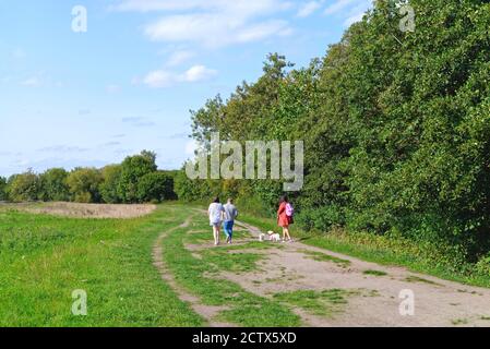 Tre giovani camminano due cani sul sentiero del Tamigi a Runnymede in un giorno estivo, Egham Surrey England UK Foto Stock