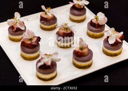 Catering, vari snack deliziosi su piatti a buffet. Catering, spuntini assortiti sui piatti Foto Stock