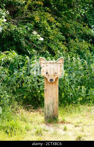 Sculture in volpe di legno accanto al percorso naturalistico per mostrare alla gente la fauna selvatica trovato nella zona, Haysden Country Park, vicino a Tonbridge, Kent, Inghilterra Foto Stock