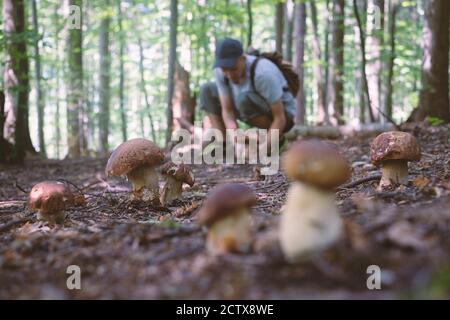 L'uomo raccogliere i funghi nella foresta di estate Foto Stock