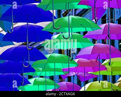 Blu giallo e rosa decorazione di strada brollies Foto Stock