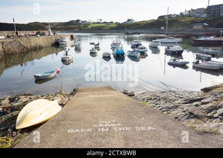 Il piccolo porto di Cemaes Bay Anglesey Wales UK Foto Stock