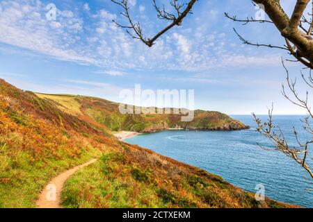 Lantic Bay dal South West Coast Path sulla costa della Cornovaglia, Cornovaglia, Inghilterra Foto Stock