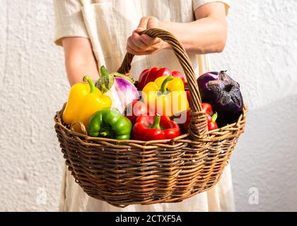 Donna che tiene un cesto di vimini con verdure, raccolta fresca di verdure biologiche, peperoni con pomodori e melanzane Foto Stock