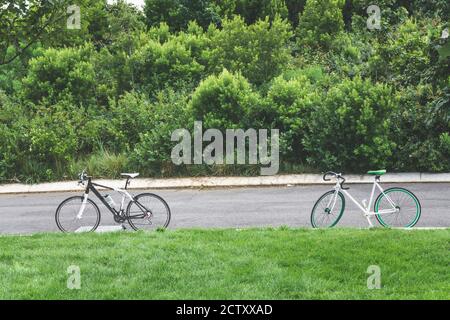 Due moderne biciclette da strada parcheggiate su un prato vicino la strada Foto Stock