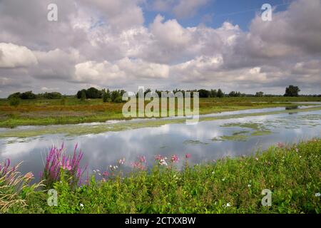 GAT van Den Kleinen Hil Foto Stock