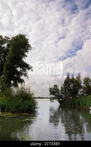 Parco Nazionale di Biesbosch Foto Stock