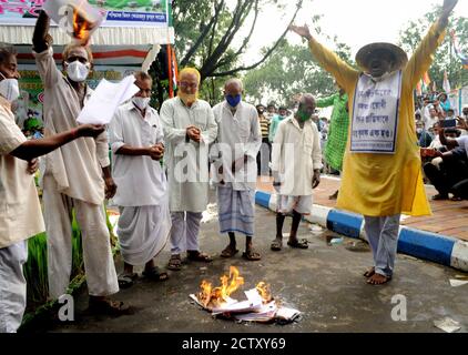 Kolkata, India. 25 Settembre 2020. Bengala Occidentale Kishan Majdoor Trinamool Congresso attivisti bruciare modello di legge durante la protesta contro la nuova Farm Bill vicino alla statua di Gandhi. (Foto di Ved Prakash/Pacific Press/Sipa USA) Credit: Sipa USA/Alamy Live News Foto Stock