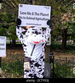 Global Climate Strike ospitato da Fridays per Future Ottawa. Persone in costumi animali che chiedono la fine dell'agricoltura animale. Foto Stock