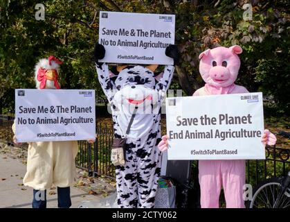 Global Climate Strike ospitato da Fridays per Future Ottawa. Persone in costumi animali che chiedono la fine dell'agricoltura animale. Foto Stock