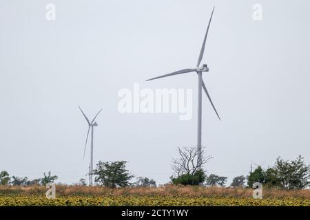 Generatori eolici elettro in piedi sul campo. Energia ecologica verde del futuro in campagna. Turbine ucraine, generazione di energia Foto Stock