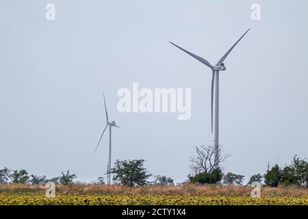 Generatori eolici elettro in piedi nel campo giallo estivo. Energia ecologica verde del futuro in campagna. Turbine ucraine, generazione di energia Foto Stock