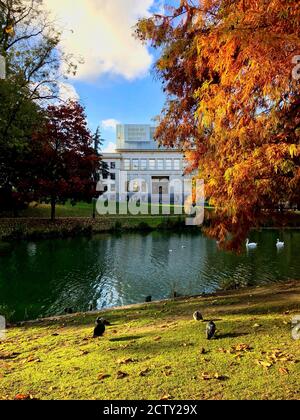 Vibes Autunno nel Leopold Park a Bruxelles con albero colorato, uccelli acquatici e l'esterno della Casa di Storia europea durante il giorno del sole. Foto Stock