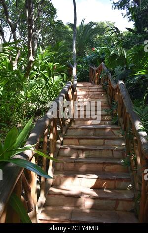 Immagine verticale di una vecchia scalinata fatta attraverso un giardino tropicale Foto Stock