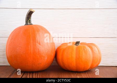 Zucche su sfondo bianco di legno. Messa a fuoco selettiva e spazio di copia. Halloween e concetto di Ringraziamento. Foto Stock