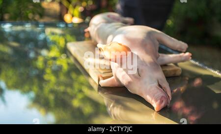 Preparato maiale intero alla griglia in casa giardino per barbecue. Cucina casalinga di maiale alle vacanze. Primo piano di arrosto di maialino su uno spiedo, spagnolo barbecue h Foto Stock