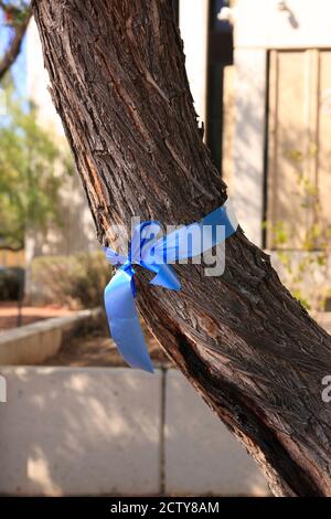 Nastro blu legato intorno ad un albero per onorare gli operatori sanitari Significa anche "Blue Lives Matter" pro-polizia Foto Stock