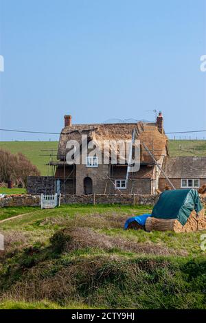 Una vecchia casa cottage inglese tradizionale in campagna. È fatto di pietra e si trova dietro le pareti di pietra. Il tetto in paglia viene sostituito con Foto Stock