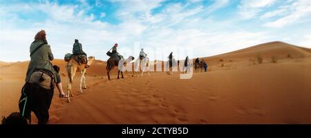 I turisti a cavallo di cammelli attraverso il deserto del Sahara paesaggio, Marocco Foto Stock