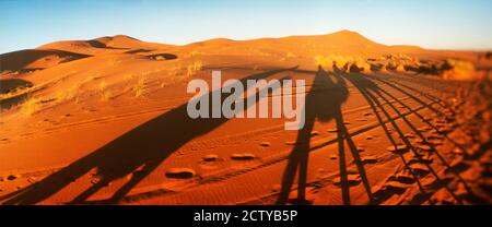 Ombre di cavalieri di cammelli nel deserto al tramonto, deserto del Sahara, Marocco Foto Stock