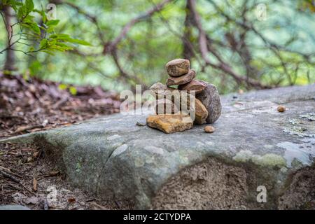 Cloudland Canyon state Park a Rising Fawn, Georgia, Stati Uniti Foto Stock