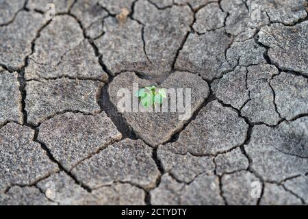 Terra arida, con un centro a forma di cuore con qualche pianta verde. Foto Stock