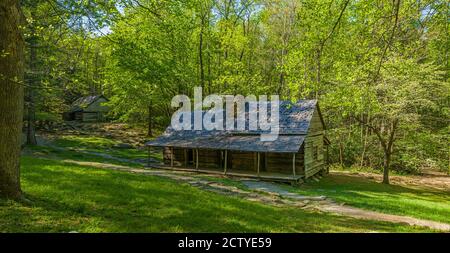Casa di legno in una foresta, Roaring Fork Motor Nature Trail, Great Smoky Mountains National Park, Blount County, Tennessee, Stati Uniti Foto Stock