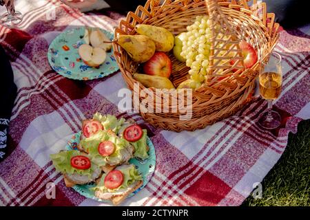 Cestino da picnic su prato verde. Ancora vita di panini, frutta e un bicchiere di vino Foto Stock