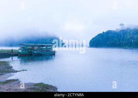 Safari in barca nel lago nebbioso o fiume nebbia in una mattina invernale nella foresta o nella giungla selvaggia. Foto scattata dalla barca. Fauna selvatica indiana. Parco nazionale Foto Stock